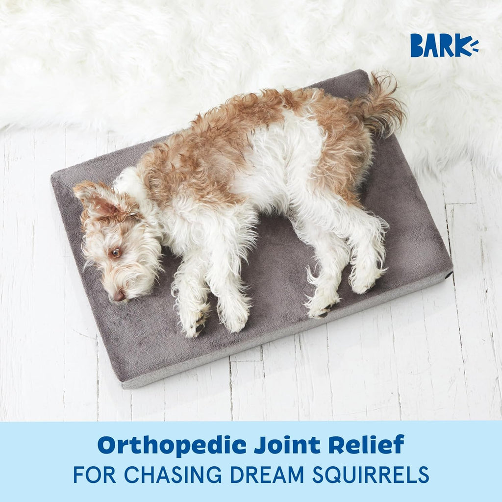 Barkbox Orthopedic Dog Bed with Memory Foam, Premium Comfort for Dogs and Puppies, Dog Bed for Joint Relief and Restful Sleep, Durable and Easy to Clean - Grey, Small
