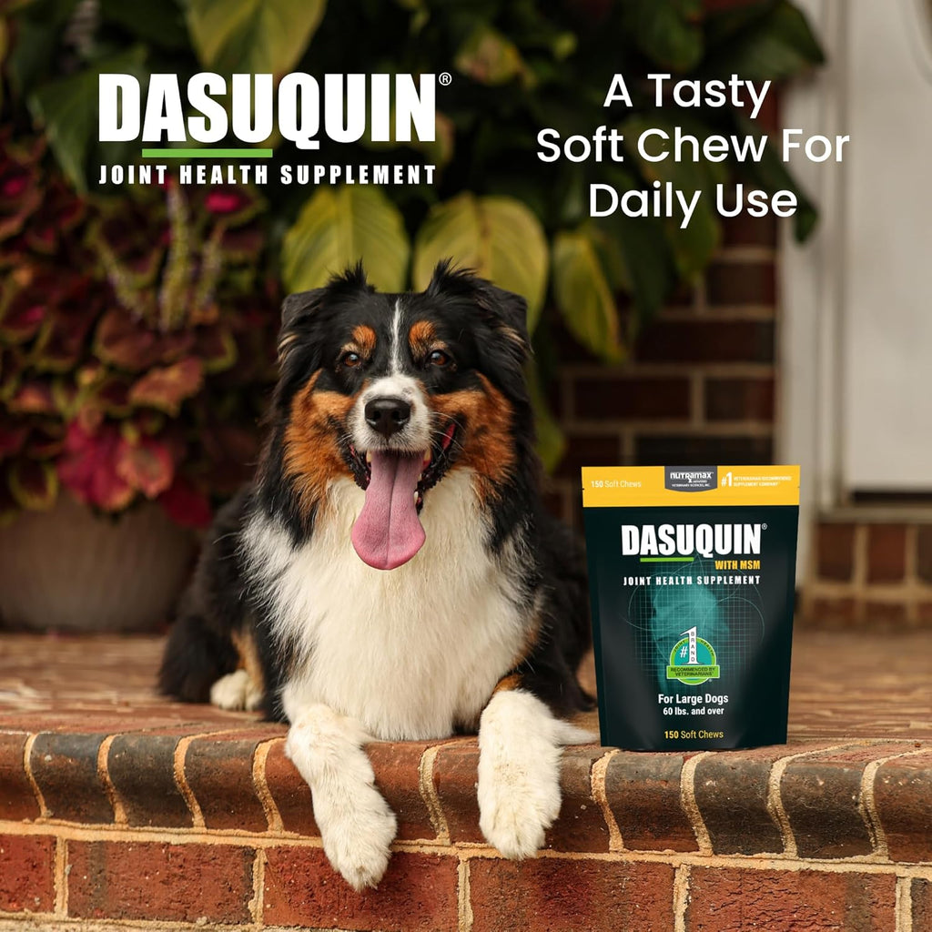 Nutramax Laboratories Dasuquin with MSM Soft Chews, Large Dog, 150 Count, brown