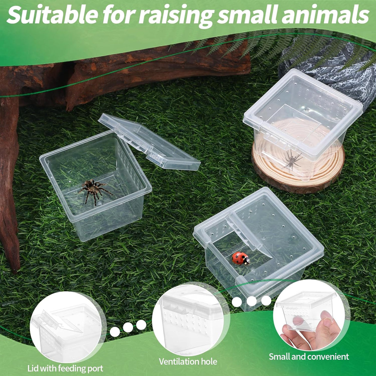 10Pcs Plastic Critter Keeper,Transparent Cricket Keeper for Reptiles,Mini Reptile Feeding Box Kids Bug Catching Kit Suitable for Crickets Scorpions Frogs Centipedes Lizards PP Breeding Box