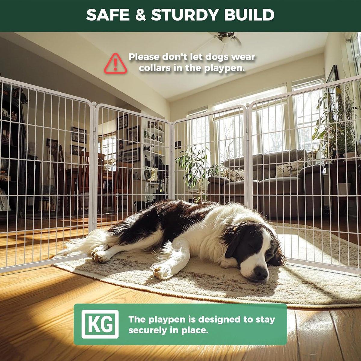 FXW Homeplus Unleashed Indoor Dog Playpen - Stress-Free and Safe Play, Heavy Duty 40 Inch 8 Wire Panels Dog Pen for Medium and Large Dogs, White│Patented