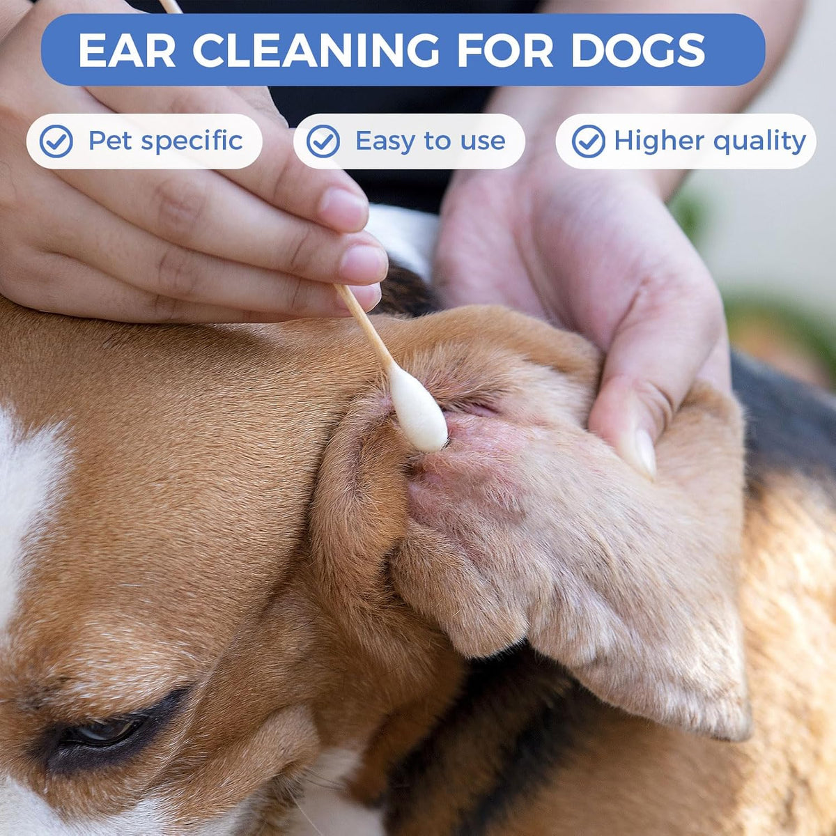 GOLD HONEY 6 Inch Large Cotton Swabs, 100PCS Dog Ear Swabs with Bamboo Handle for Dogs, Pet-Specific, Gentle Design, Lint-Free, Canine Cotton Stick Ear Cleaning