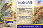 Farm to Feathers™ Bird Economy Millet & Cuttlebone Bundle – USA Grown Millet Sprays for Parakeets, Budgies, Cockatiels, Finches & Canaries – 9oz (Pack of 1) + 4” Cuttlebone (4 Pack)