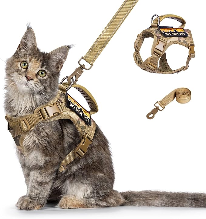 Tactical Cat Harness and Leash for Walking Esacpe Proof,Adjustable Soft Mesh Large Cat Vest with Rubber Handle Easy to Control,Molle Patches