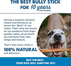Best Bully Sticks 6 Inch Jumbo Bully Sticks for Dogs - 12 Count (Pack of 1) - Natural Grass-Fed Beef, Single Ingredient, Grain and Rawhide Free Chew, Large Breeds