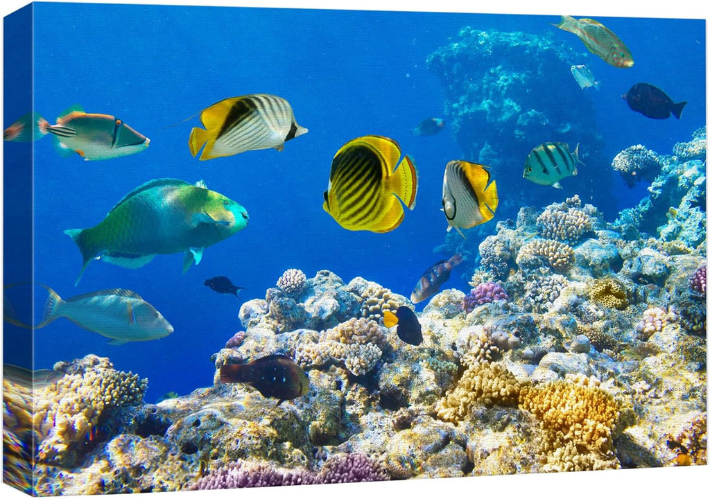 wall26 Canvas Print Wall Art Tropical Island Ocean Sea Fish Coral Reef Nature Animals Photography Realism Rustic Scenic Landscape Wilderness Earth Colorful for Living Room, Bedroom, Office - 12"x18"