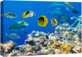 wall26 Canvas Print Wall Art Tropical Island Ocean Sea Fish Coral Reef Nature Animals Photography Realism Rustic Scenic Landscape Wilderness Earth Colorful for Living Room, Bedroom, Office - 12"x18"