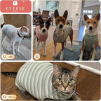 KYEESE 2Pack Dog Shirts Waffle for Small Dogs Stretchy Dog T-Shirts Lightweight Dogs Tank Top Sleeveless Pet Vest Breathable, X-Large, Purple+Grey