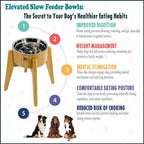 Slow Feeder Dog Bowls for Large Breed - Elevated, Raised 12-inch High - Bamboo Bowl with [60-oz Cap] Stainless Steel Inner Dish, Slow Feeding Insert Pad and Single Stand