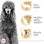 Royal Canin Breed Health Nutrition Poodle Adult Dry Dog Food, 10 lb Bag