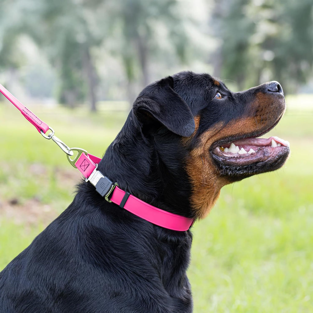 Dogline Biothane Waterproof Dog Collar with Herm Sprenger Stainless Steel Quick Release Buckle – Heavy Duty Tactical Durable Collar for Dogs – Comfortable and Safe Pet Collar, W 3/4" L 12-19", Pink