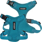 Voyager Step-in Pet Harness - All Weather Mesh, Adjustable Step in Harness for Cats and Dogs by Best Pet Supplies - Turquoise, L