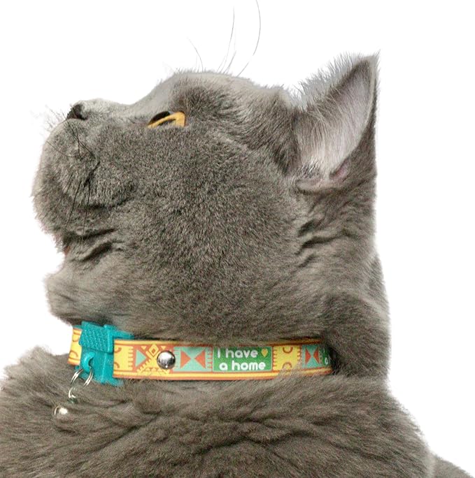 New Kittyrama -I Have A Home- Cat Collar with Bell. Breakaway, Quick Release, Hypoallergenic, Vet Approved. Lightweight Kitten Collar. As Seen in Vogue. Soft & Comfy. Savanna