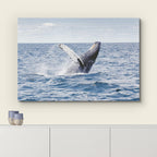 wall26 Canvas Print Wall Art Tropical Ocean Sea Water Horizon Blue Whale Nature Animals Photography Realism Rustic Scenic Landscape Wilderness Colorful for Living Room, Bedroom, Office - 16"x24"
