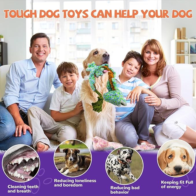 Crinkle Dog Toys Squeaky Plush No Stuffing Cute Puppy Stuffless Tough Rop Pull Toy, Fun Dog Stuffed Animals Durable Chew Set for Small Medium Large Pup (Large, Snake+Lizard)