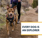 Ruffwear, Web Master, Multi-Use Support Dog Harness, Hiking and Trail Running, Service and Working, Everyday Wear, Blaze Orange, Large/X-Large