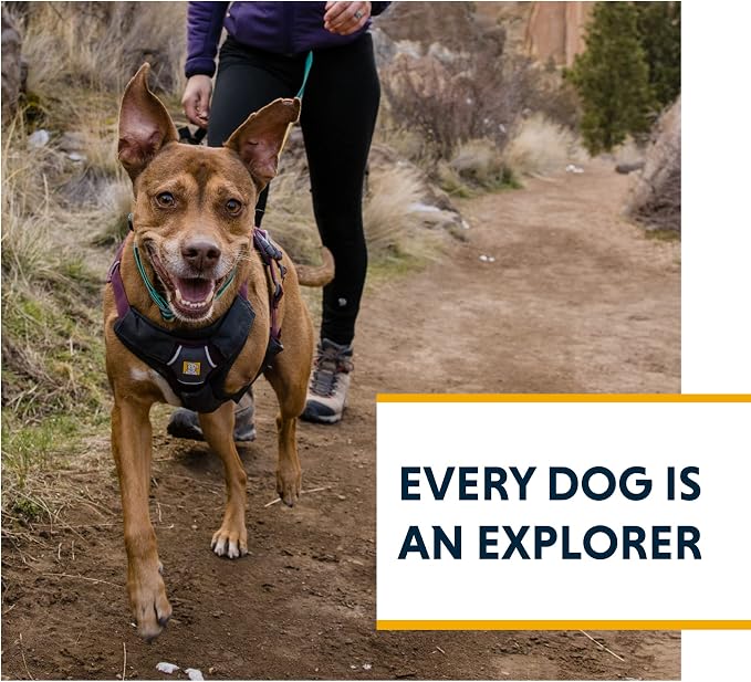 Ruffwear, Web Master, Multi-Use Support Dog Harness, Hiking and Trail Running, Service and Working, Everyday Wear, Red Canyon, Small