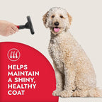 KONG Double-Sided Rake & Deshedding Tool – Detangling & Shedding Control, Rounded Metal Tips, Non-Slip Grip, for Medium to Large Dogs with Medium to Long Coats, Red/Gray
