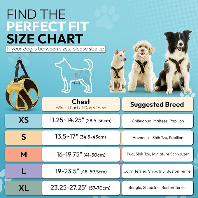 Gooby Escape Free Easy Fit X Step-in Dog Harness, Miami Yellow, X-Large | Patented escape-free, tightens on back-out; Choke-free X-frame + V-neck; Quick-release buckle; Reflective trim