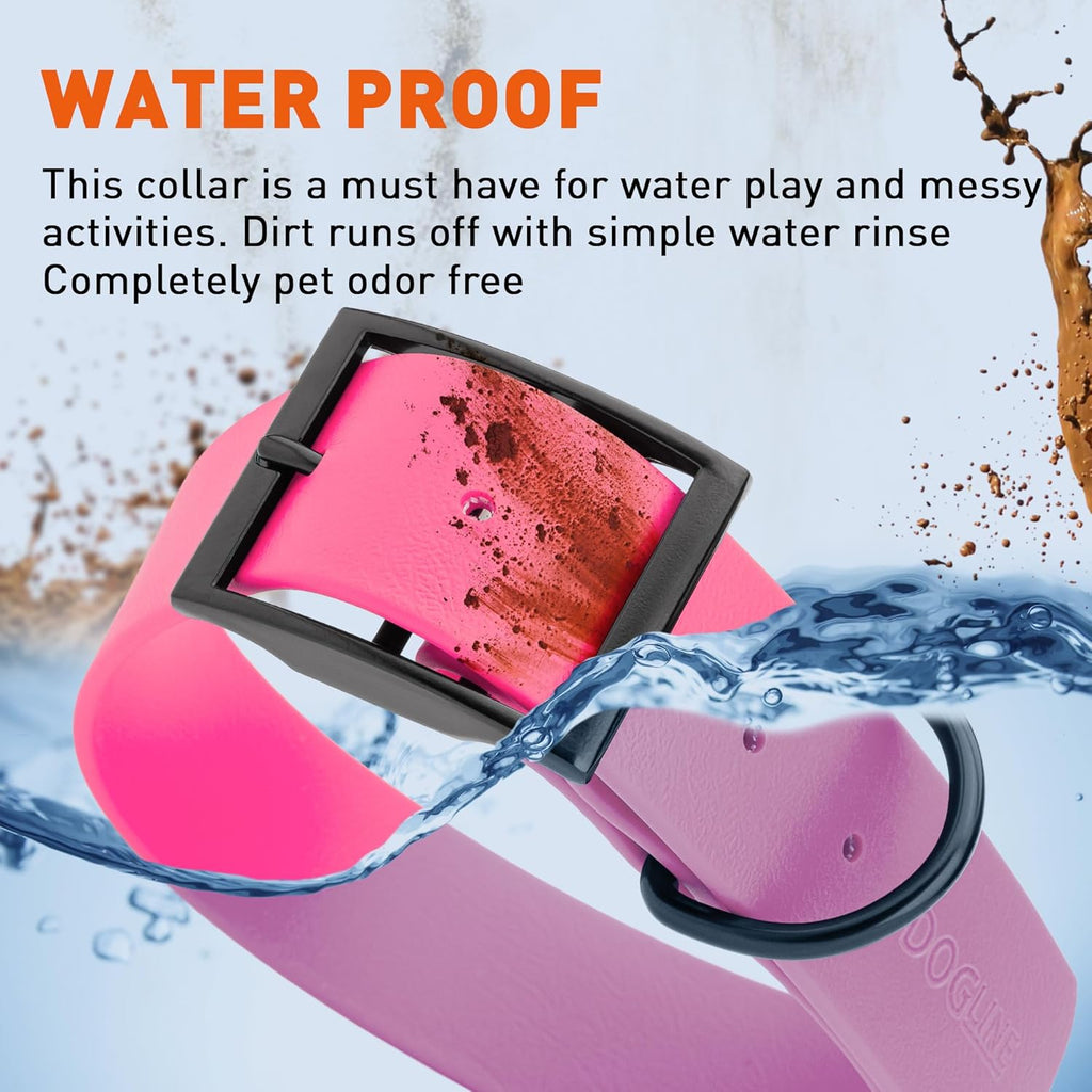 Dogline Biothane Waterproof Dog Collar Strong Coated Nylon Webbing with Black Hardware Odor- Proof for Easy Care Easy to Clean High Performance Fits Small Medium or Large Dogs, Passionfruit Pink