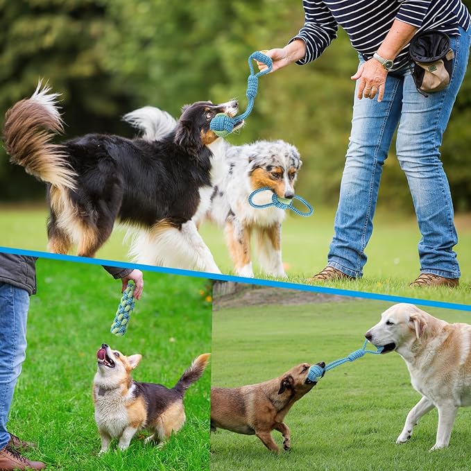 Dog Rope Toys 7 Pack, Puppy Teething Sturdy Cotton Chew Tug Ropes Indoor/Outdoor, Exercise Interactive Tug O'War Toys Set for Boredom Small-Meidum Dogs
