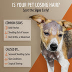 Tauro Pro Line Coat Growth Recovery Cream for Dogs & Cats – Strengthens Hair Roots & Boosts Regrowth – Dog & Cat Moisturizer for Thinning Fur, Shedding & Post-Surgery Care (Derma Care 2.5 Fl Oz)