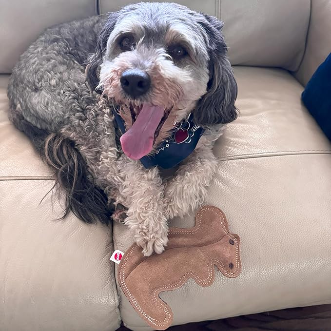 SPOT Dura-Fused Leather Squirrel Dog Toy – Real Leather & Jute Fabric, Double-Stitched & Durable, Soft Stuffed Squeaky Interactive Chew Toy for Moderate Chewers, Small & Medium Dogs, 8in