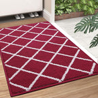 Finchitty Indoor Door Mat, Dirt Resistant and Absorbent, Low-Profile, Non-Slip, Washable Inside Floor Mats for Front Door, Back, and Entrance, 36" x 24", Burgundy