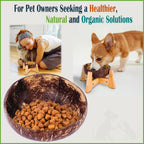 Raised Dog Bowl for Small Dog - Elevated, Ants-Off Stand, Real Coco Bowl, Height 5-inch, 33-oz Dish Capacity - Coconut/Bamboo Natural Calming Effect