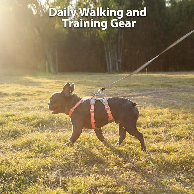 Escape Proof Dog Harness, No Pull Reflective Harness with Lift Handle, Adjustable Pet Vest with Front and Back Leash Clips for Small Medium Large Dogs Walking Hiking Training (Orange,L)