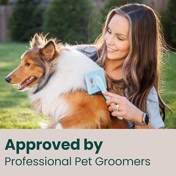 Slicker Brush for Dogs - Long Pin for Poodles, Doodles & Long Haired Dogs, Deshedding & Dematting Tool, Slicker Dog Brushes for Grooming (3 Baby Blue, Flat Large Bundle)