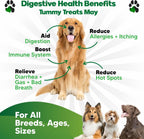 Probiotics for Dogs – Digestive Health Chews with Prebiotics & Enzymes | Dog Probiotic Supplement for Gut, Diarrhea Relief, Gas & Allergy Support – Chicken Flavor Soft Chews