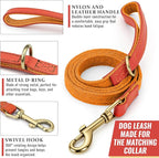 Dog Collar and Leash Set with Metal Quick Release Buckle, Adjustable, Breathable Nylon, Durable, Soft and Comfortable, No Pull for Walking and Training, Orange, M (12.5"-19.6")