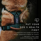 MADE TO ROAM Premium Explorer Harness - Y-Shaped Dog Harness with Adjustable Durable Nylon, Soft Padding, Metal Buckles and Leather Handle for Small, Medium, Large Dogs (Alaska Daybreak, Size 6)