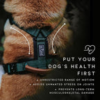 MADE TO ROAM Premium Explorer Harness - Y-Shaped Dog Harness with Adjustable Durable Nylon, Soft Padding, Metal Buckles and Leather Handle for Small, Medium, Large Dogs (Carolina Blooms, Size 6)
