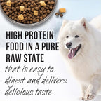 Merrick Backcountry Raw Infused Grain Free Dog Food, Great Plains Red Recipe, Freeze Dried Dog Food - 10 lb. Bag