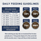 Natural Balance Specialized Nutrition Dry Dog Food with Lamb and Oatmeal for Dogs, Digestive & Immune Health Food, Natural Ingredients with Added Vitamins & Minerals - 3.5 lbs