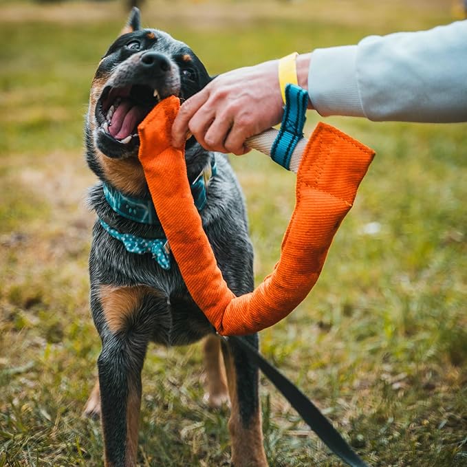 Bull Fit Horseshoe Dog Bite Tug Toy - Tug of War Dog Toy for 2 Dogs to Play - Made of Durable & Tear-Resistant French Linen - Safe, Wide & Comfortable Grip - Ideal for Medium to Large Breed Training