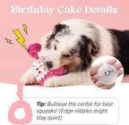 LE SURE Dog Birthday Cake Toy - Cute Squeaky Dog Birthday Toy for Gentle Chewers with Interactive Tug Rope, Plush Interactive Toy for Adult Dogs Birthdays Party, Standard, Milk Chocolate