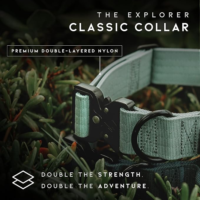 Made to ROAM Premium Explorer Control Collar - Adjustable Heavy Duty Nylon Dog Collar with Quick-Release Metal Buckle and Handle (Washington Rain, Control Size 5)