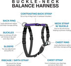 Blue-9 Buckle-Neck Balance Harness, Fully Customizable Fit No-Pull Harness, Ideal for Dog Training and Obedience, Made in The USA, Purple, Medium/Large