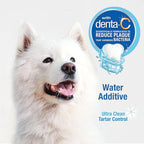 Nylabone Advanced Oral Care Pet Dental Water Additive, Liquid Tartar Remover & Breath Freshener for Dogs, Dog Teeth-Cleaning, Original Flavor, 16 oz.