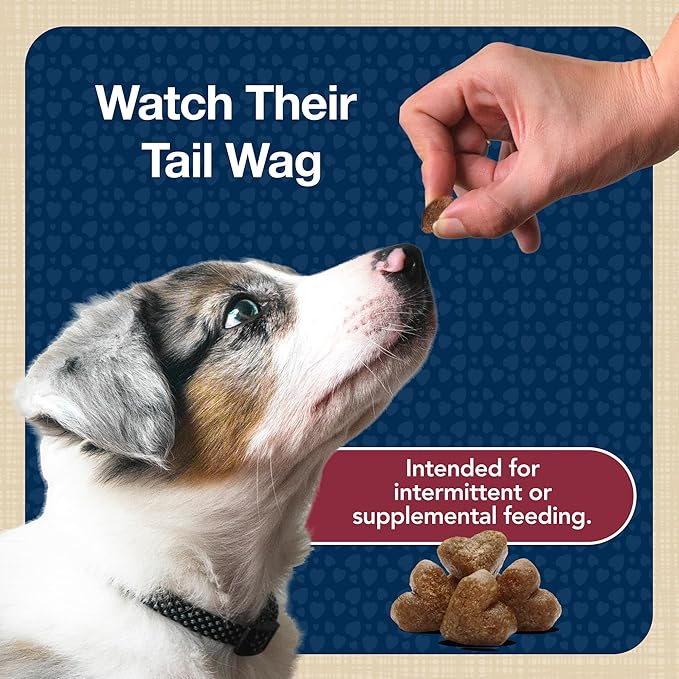 Blue Buffalo Bits Soft Dog Treats for Training, Made With Natural Ingredients & Enhanced with DHA, Beef Recipe, 11-oz Bag
