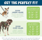 2 Hounds Design Freedom No Pull Dog Harness and Leash, 1" MD, Rust | Promotes Easy Walking & Comfortable Control, Secure Fit, Adjustable Harness and Leash Set for Medium Sized Dogs, Made in USA
