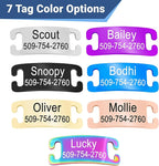 GoTags Personalized Cat Collars with Tag, Engraved Custom Cat Collar with Name and Phone, Breakaway Collar with Safety Buckle and Bell, Adjustable for Cats and Kitten (Blue with Nameplate)