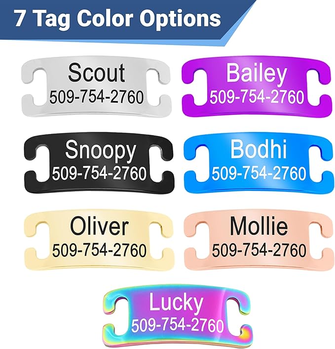 GoTags Personalized Reflective Cat Collars with Tag, Engraved Custom with Name and Phone, Breakaway Collar with Safety Buckle and Bell, Adjustable for Cats and Kitten, (Orange with Nameplate)