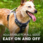 Embark Adventure Dog Harness, Reflective Trim No Pull Dog Harness for Large Dogs - Military Grade Nylon, Front Clip with Gel Lined Handle. Soft & Padded Puppy for Any Breed