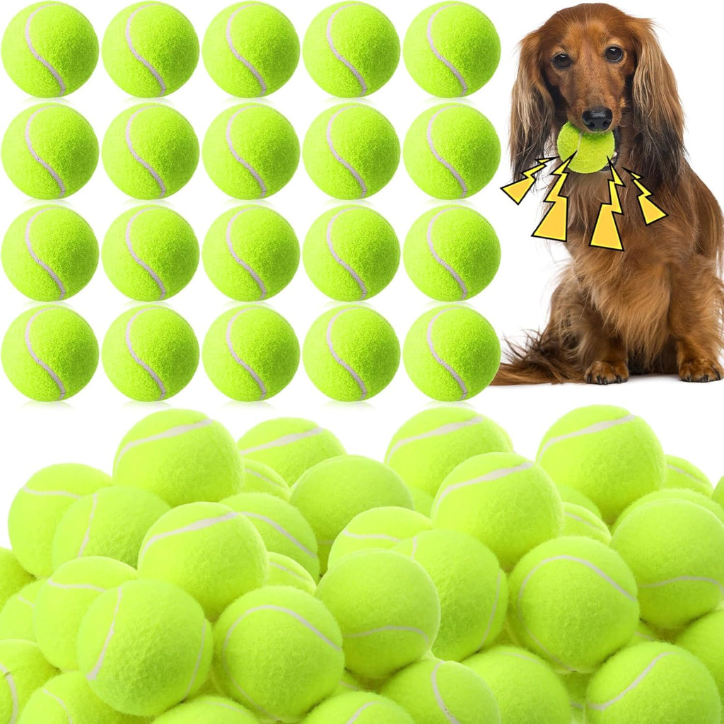 Skylety 100 Pcs 2.5 inch Squeaky Tennis Balls Bulk for Dogs Bouncy Floatable Tennis Balls Dog Playing Supplies Training Interactive Fetch Toys for Small Medium Puppy Exercise and Practice (Green)