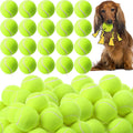 Skylety 100 Pcs 2.5 inch Squeaky Tennis Balls Bulk for Dogs Bouncy Floatable Tennis Balls Dog Playing Supplies Training Interactive Fetch Toys for Small Medium Puppy Exercise and Practice (Green)