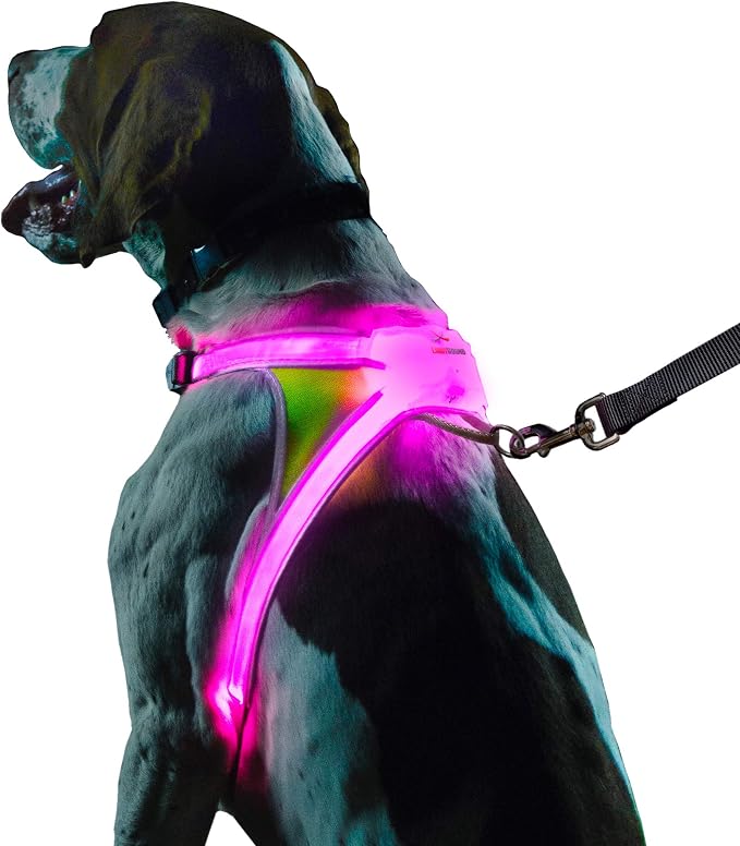 noxgear LightHound Light Up Reflective Dog Harness, Large | 360° Light Up Reflective Dog Harness, 8 Colors & 6 Modes, USB Rechargeable, Adjustable, Rainproof, LED Fiber Optic