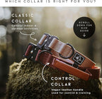 Made to ROAM Premium Dog Collar - Adjustable Heavy Duty Nylon Collar with Quick-Release Metal Buckle (Washington Rain, Classic Size 1)